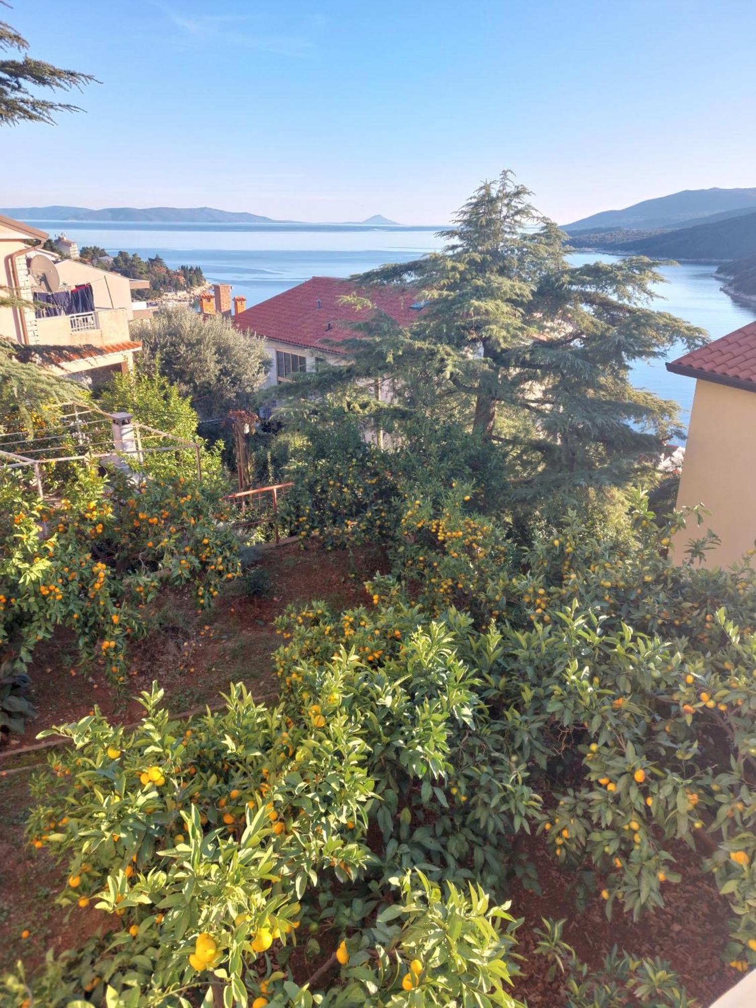 Sunshine Apartment West Rabac Exterior foto